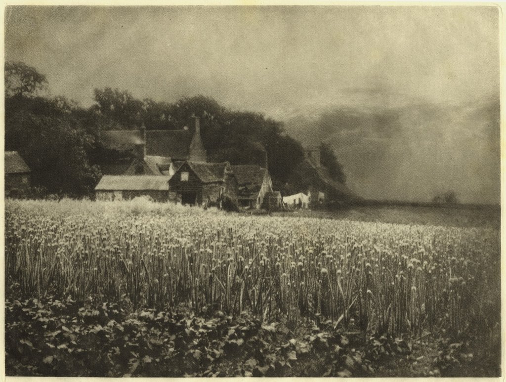 Davison The Onion Field 1889